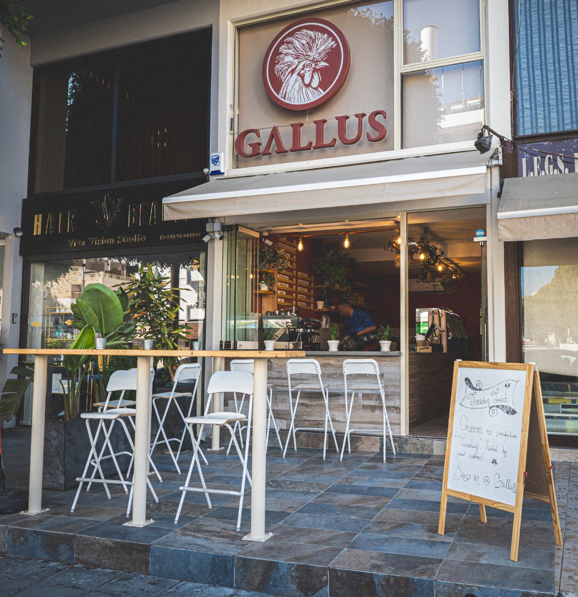 Gallus Coffee Brew