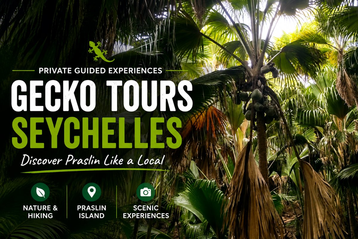 Gecko Tours Seychelles