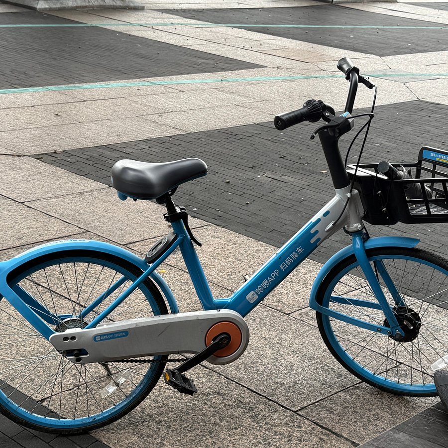 Blue Bike Travel