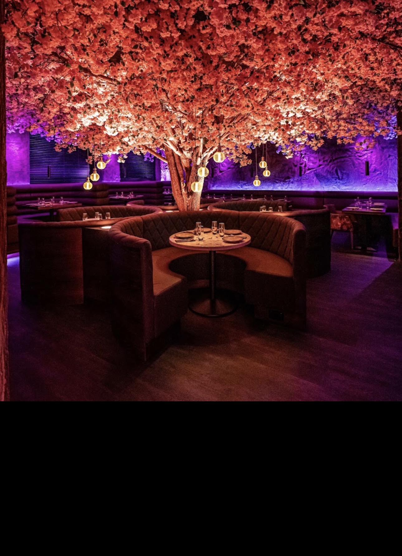 JT Akshaya - Restaurant