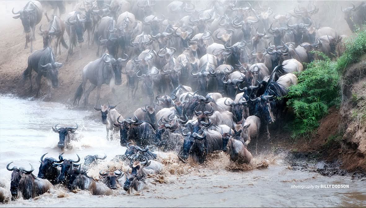 Mara LUXE Expedition Safaris