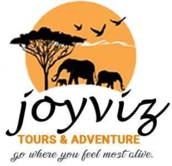 Joyviz tours and adventures