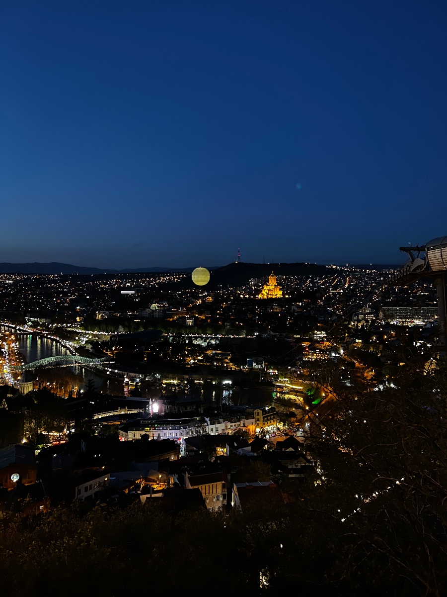 Georgian Wolf Travel