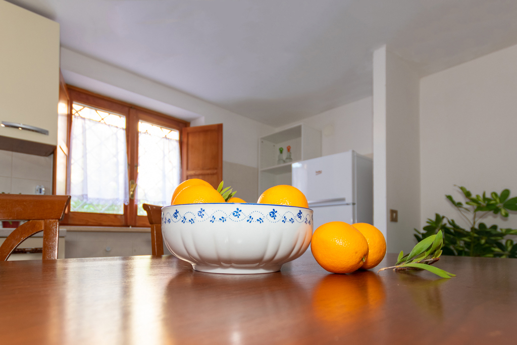 The Orange House