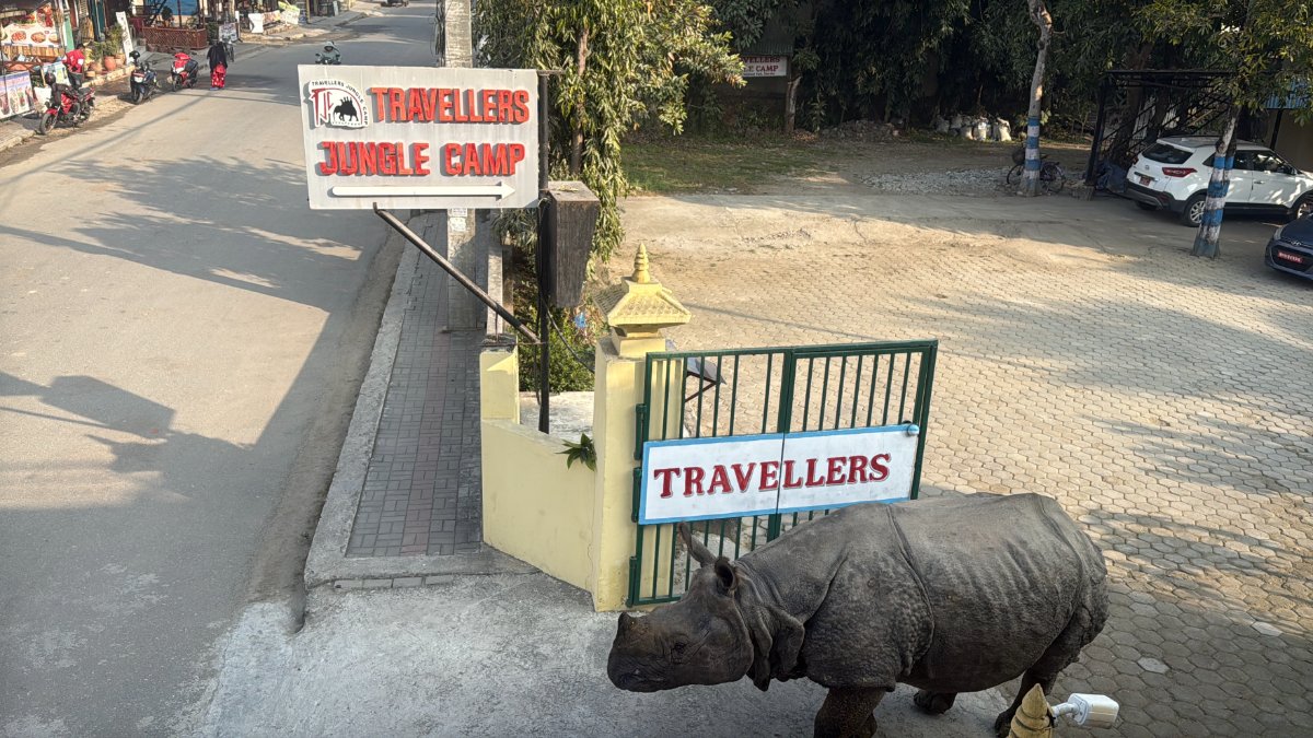 Travellers Jungle Camp