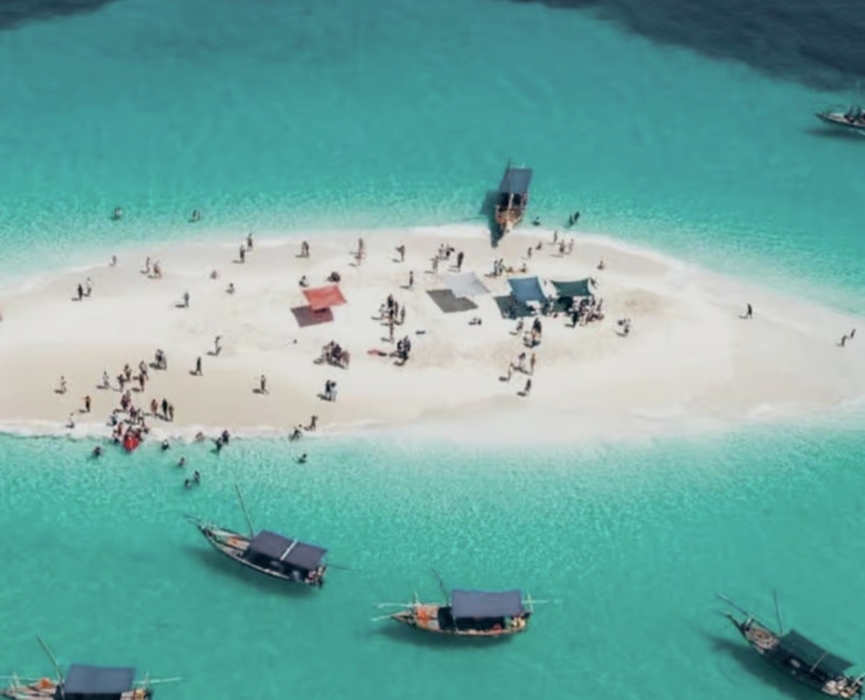 Hala Zanzibar Tours & Transfer