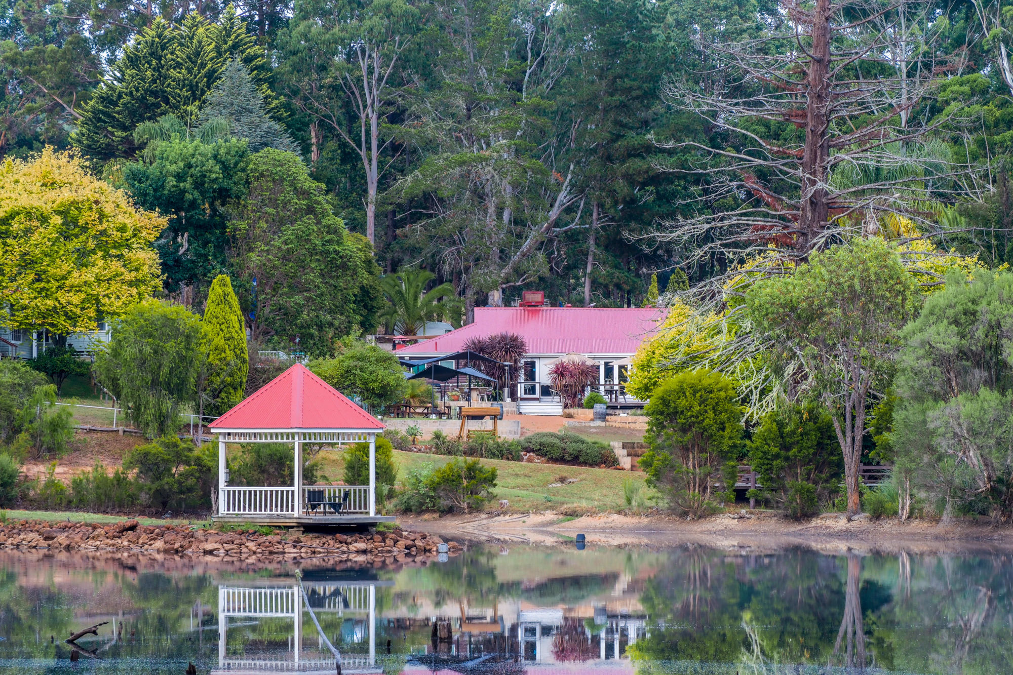 Chefingo's Restaurant & Lounge