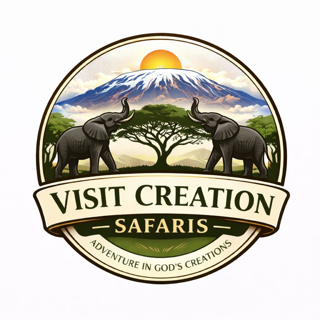 Visit creation safaris