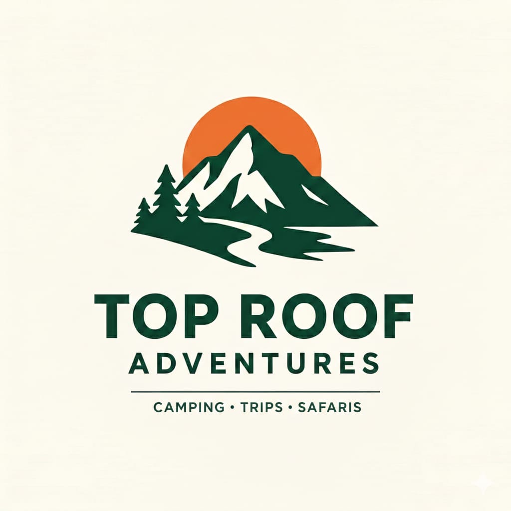 Top Roof Adventure
