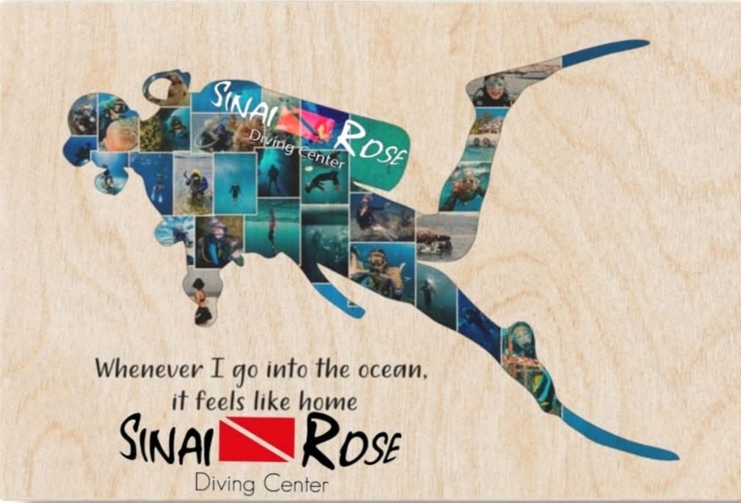 Sinai Rose Dive Center