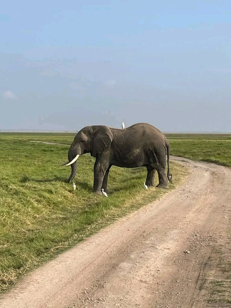 Mokki african adventures