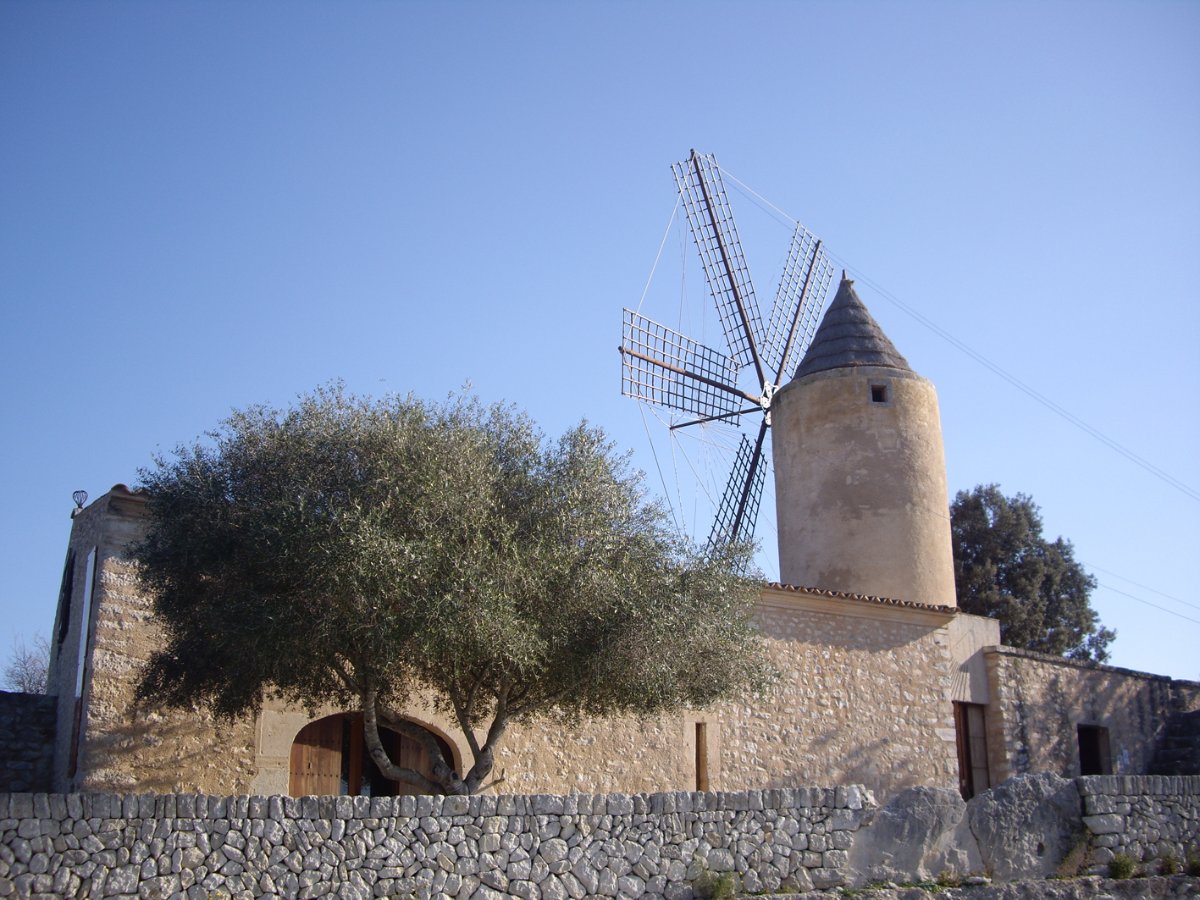 Museu Arqueològic Son Fornés