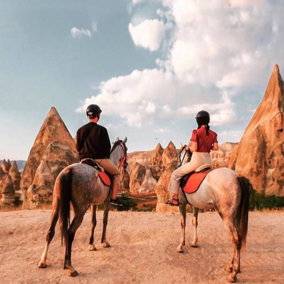 Rose Valley Horse Ranch