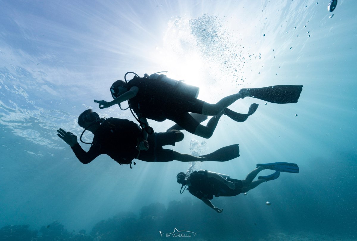 Nemo'z Diving Center Moorea