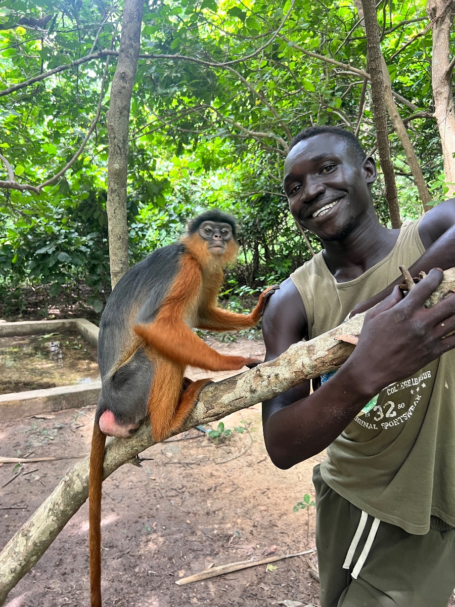 Escape tour guide