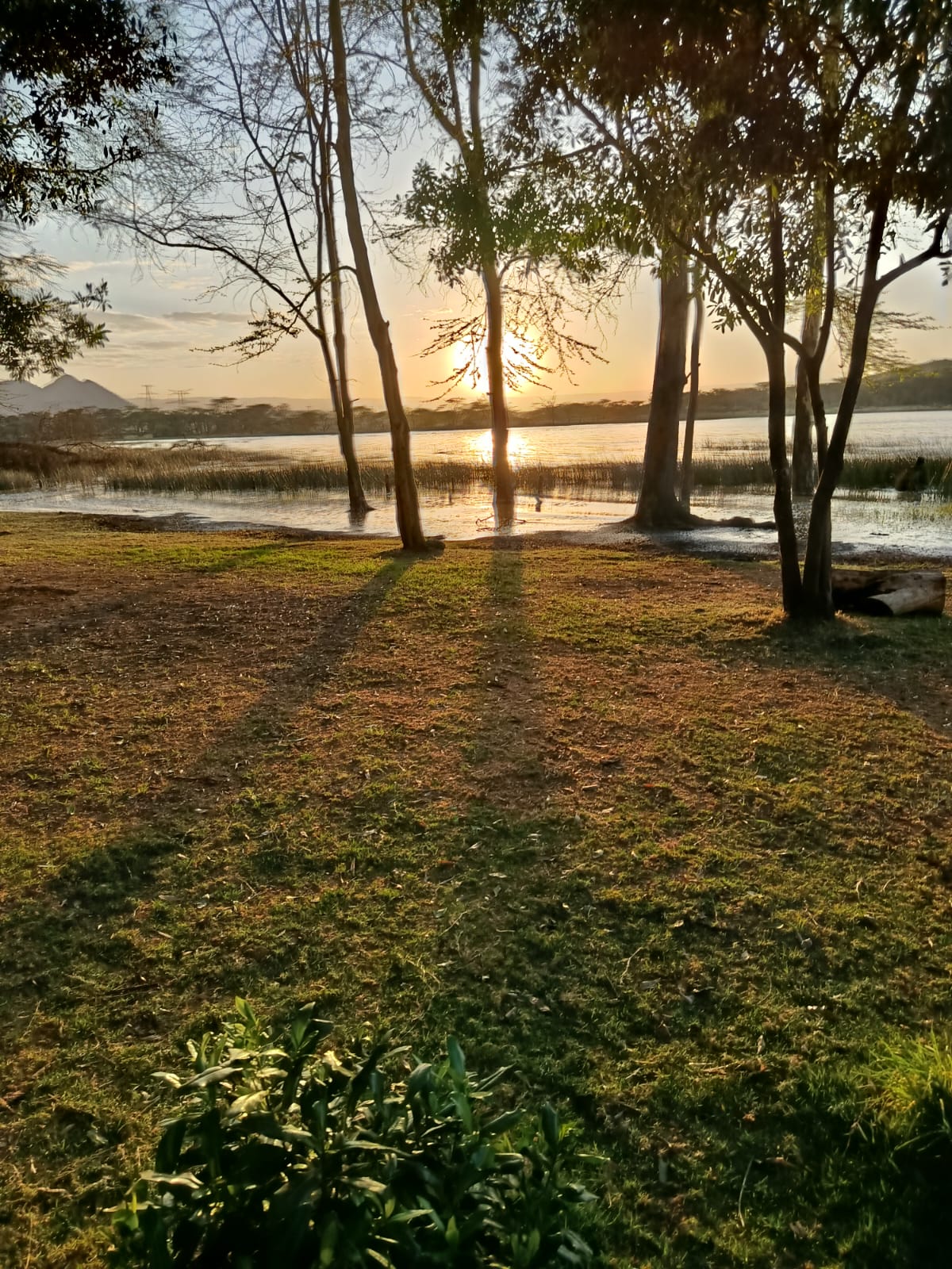Oasis Eco Camp