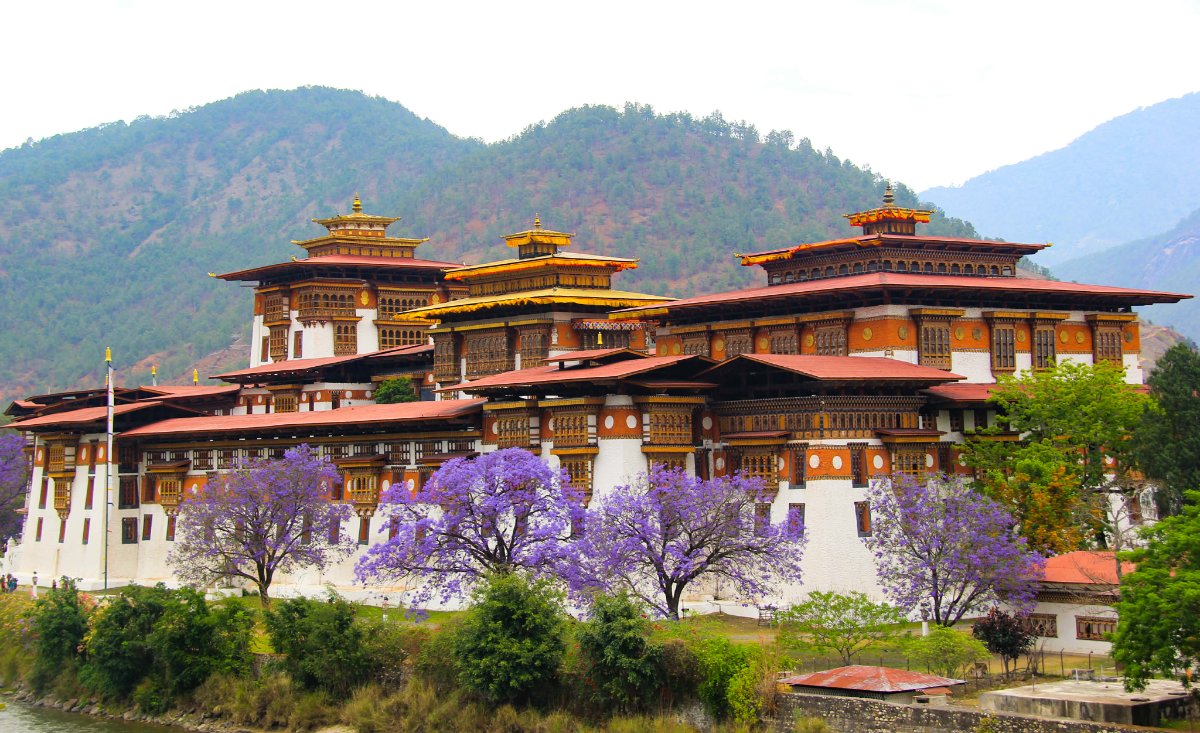 Indruka tours and travels