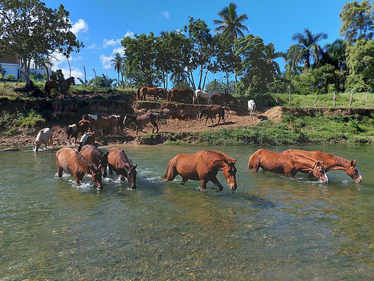 Rancho el Contento