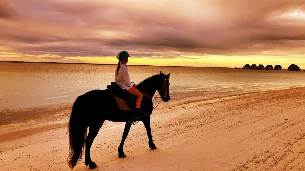 Royalstable_Zanzibar