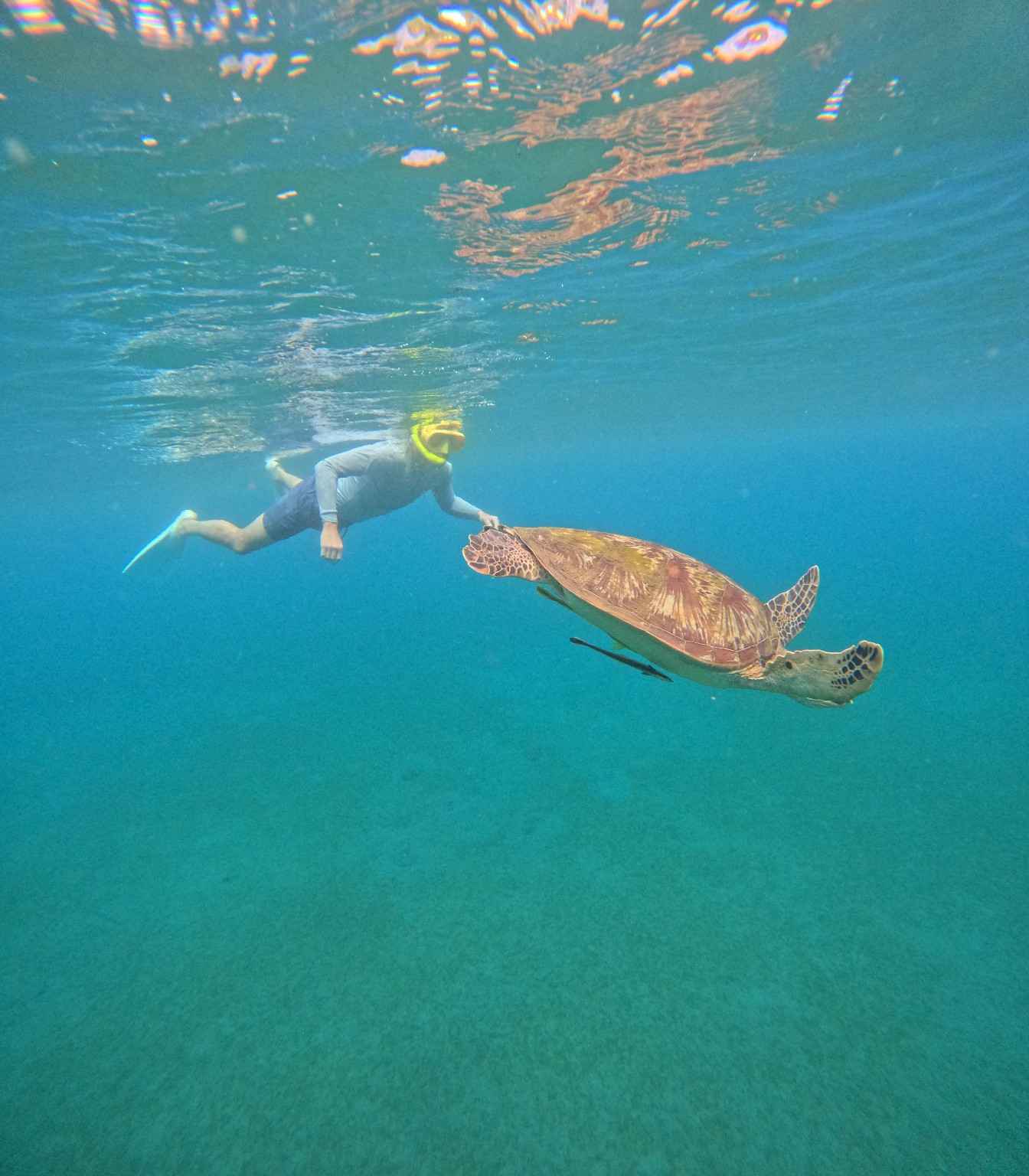 Amed Snorkeling & Scooter Rent