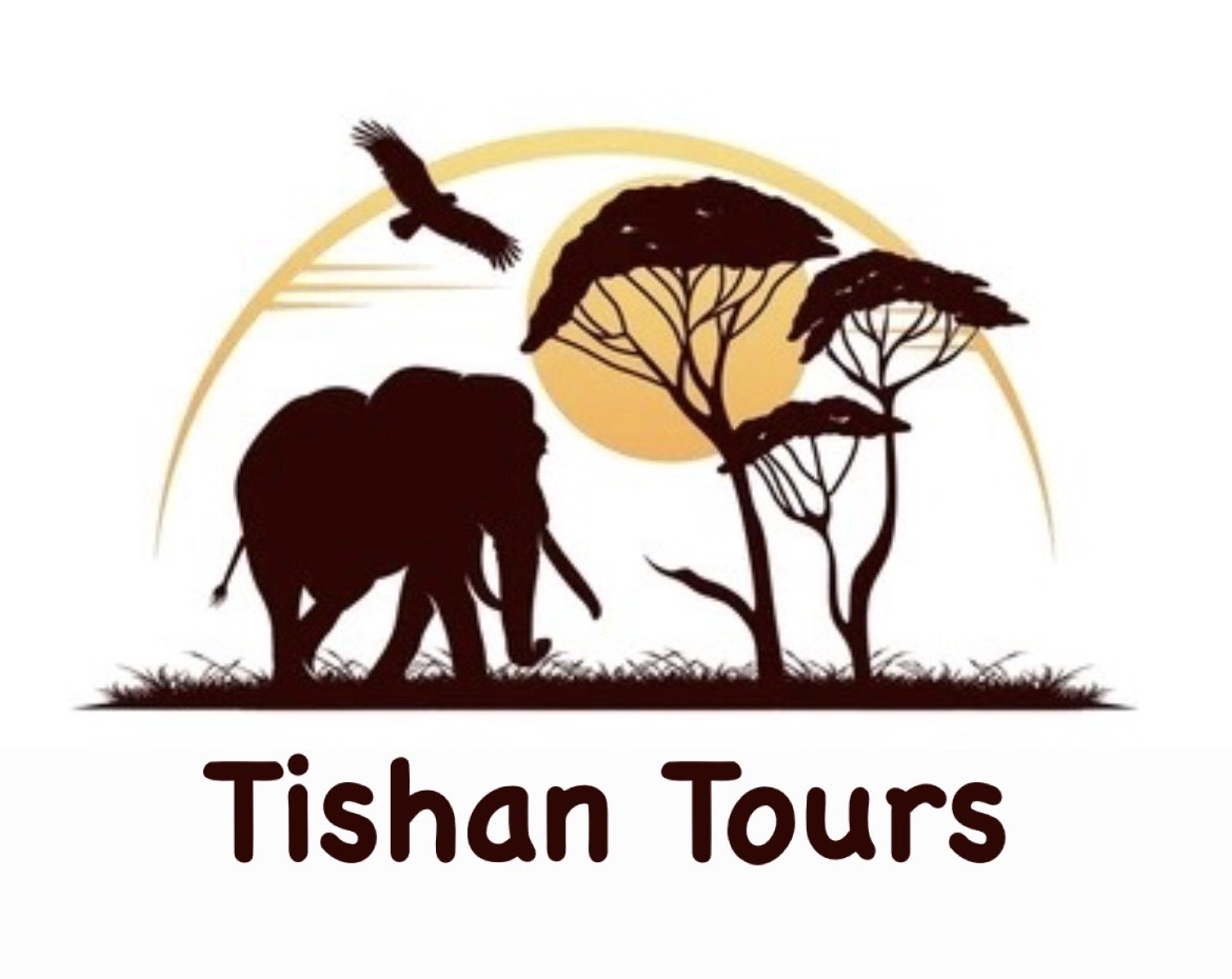 Tishan Tours