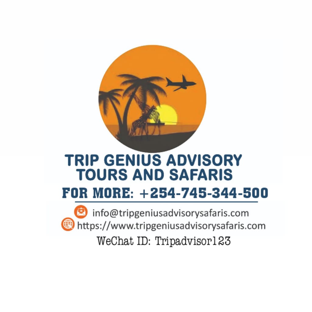 TRIP GENIUS ADVISORY SAFARIS