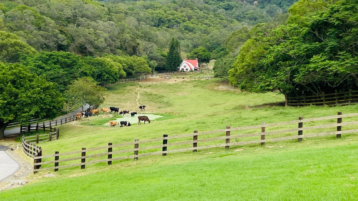 FLYING COW RANCH