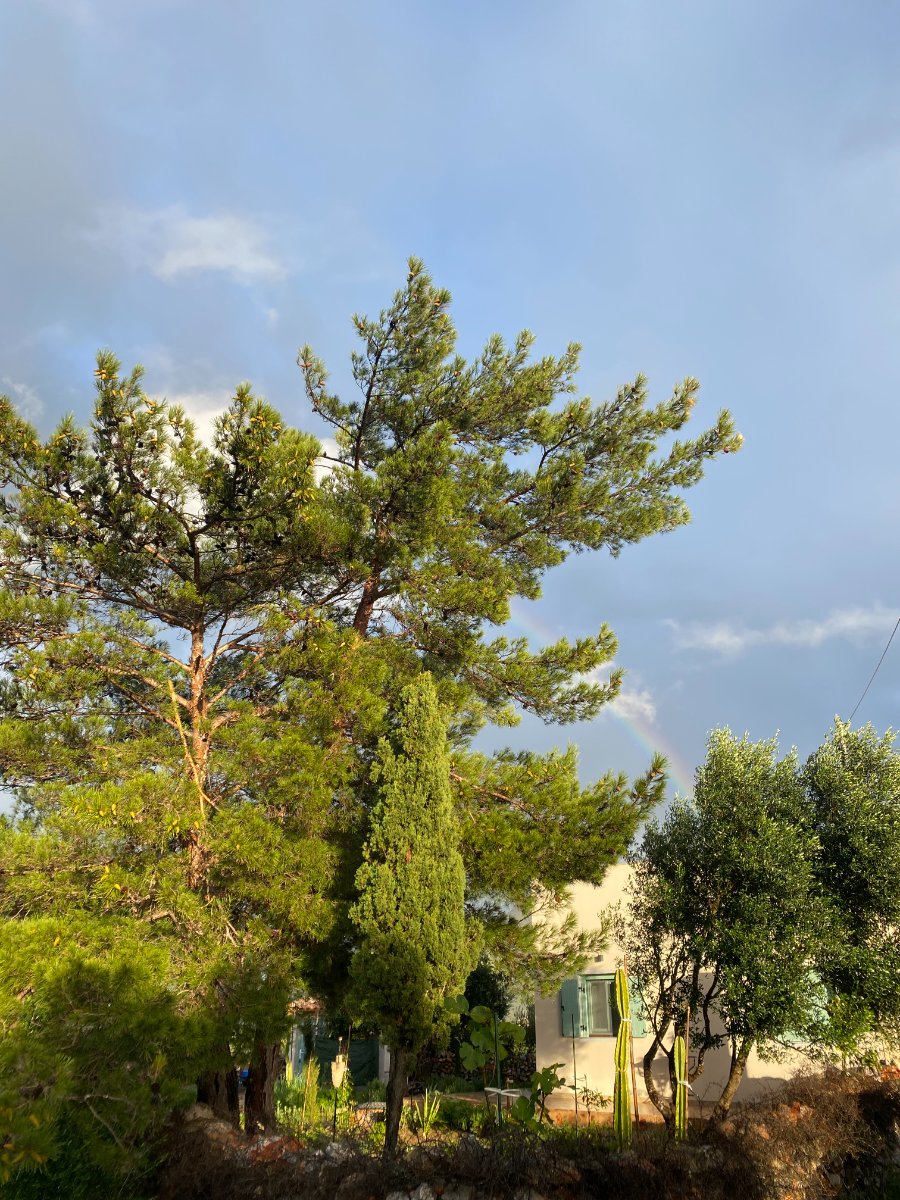 Villa Tsakalaki