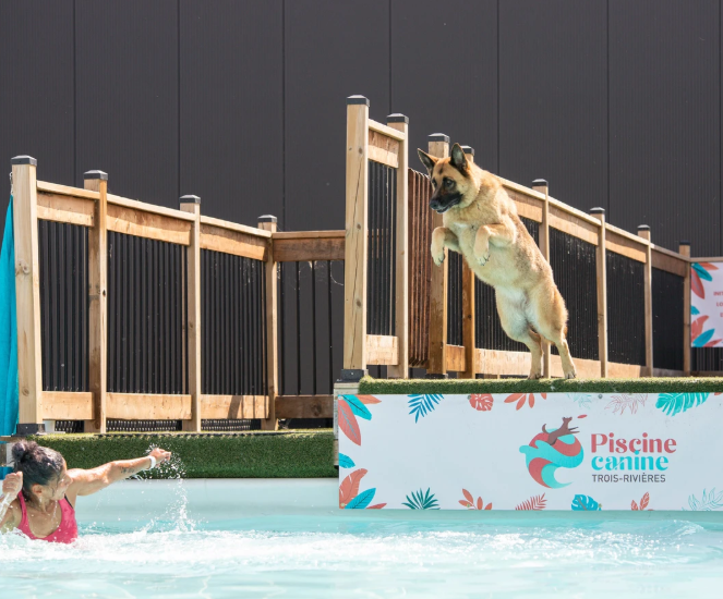 Piscine Canine Trois-Rivières