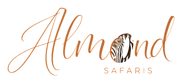 ALMOND SAFARIS LIMITED