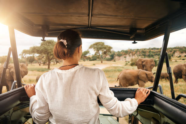 Heartland Safaris Limited
