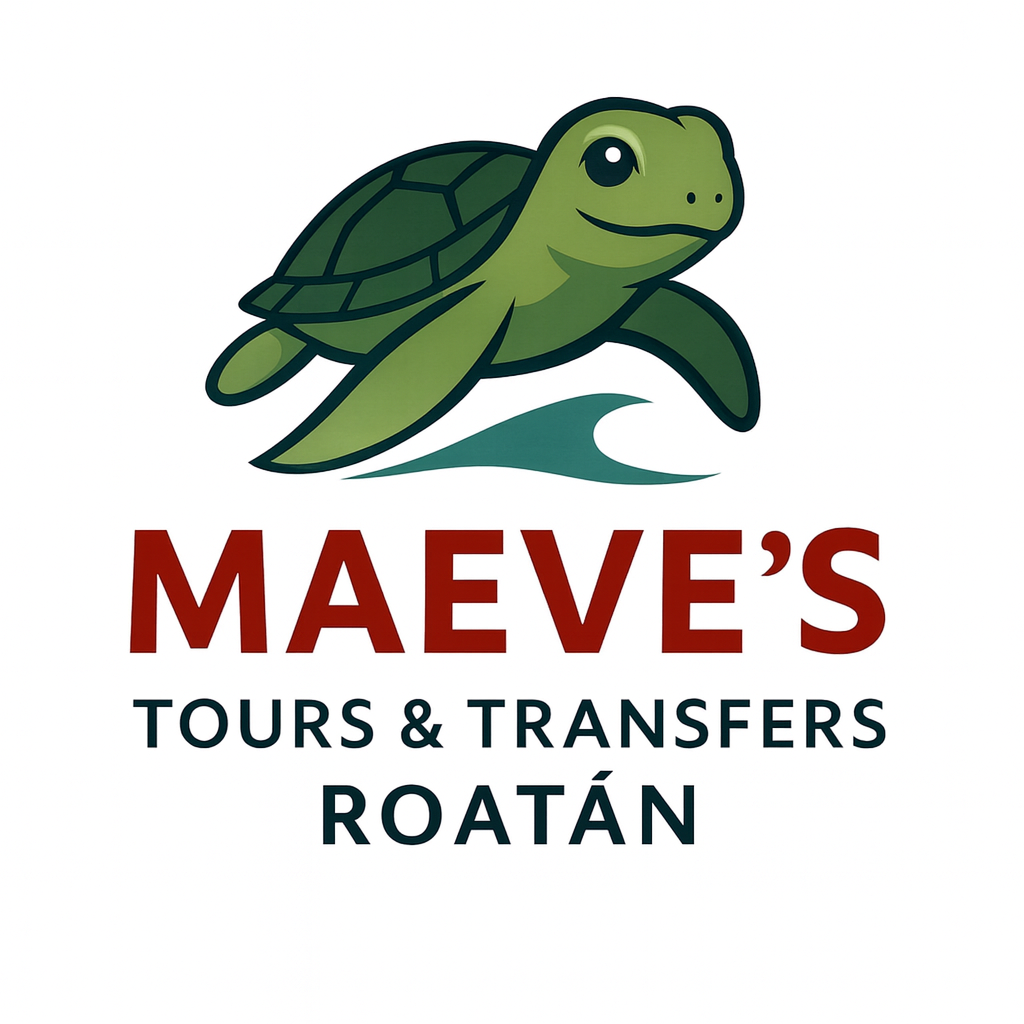 Maeves Tours & Transfers Roa