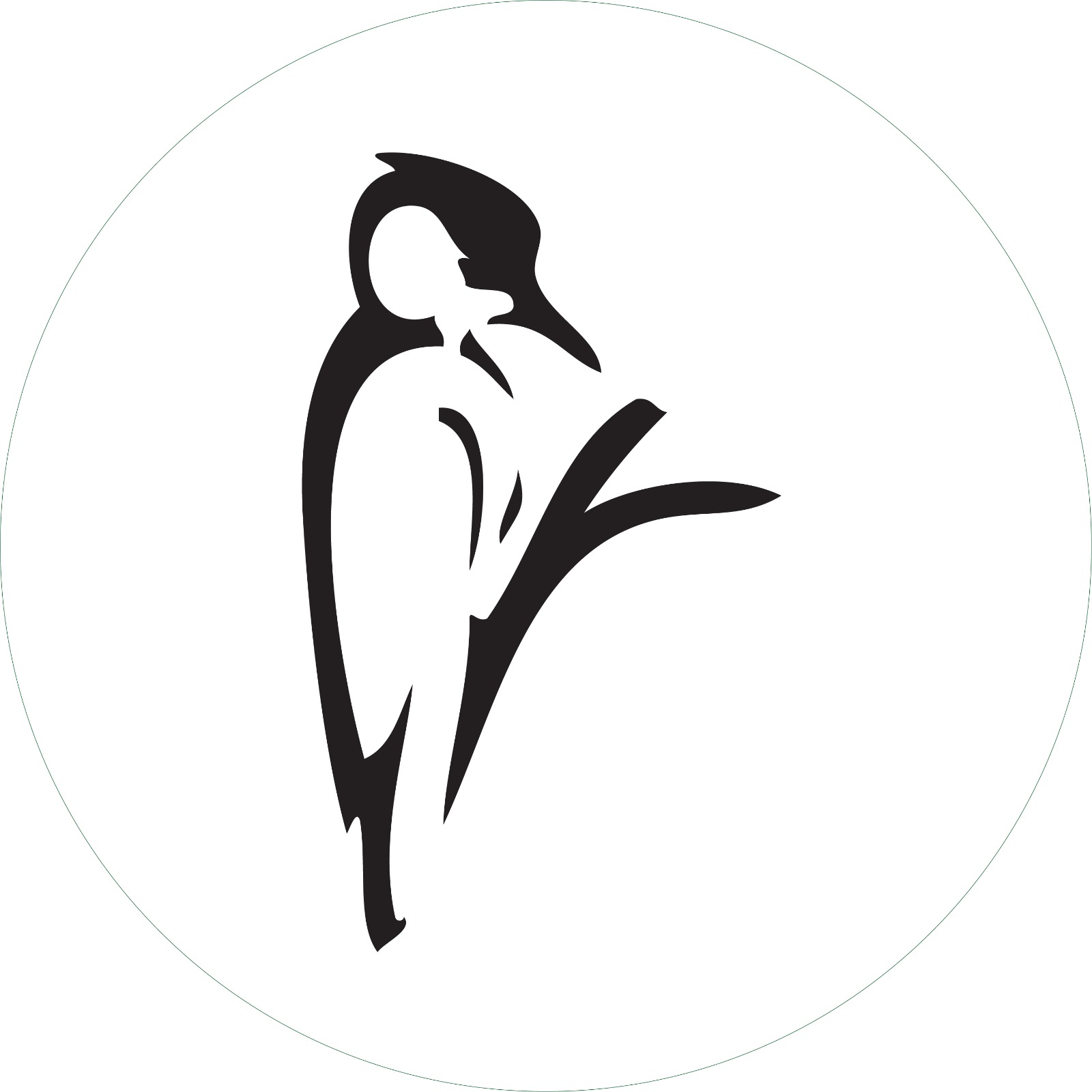 ConQuest Adventures Ltd