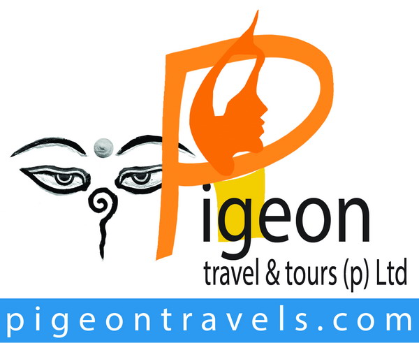 PIGEON TRAVEL AND TOURS PVT. L