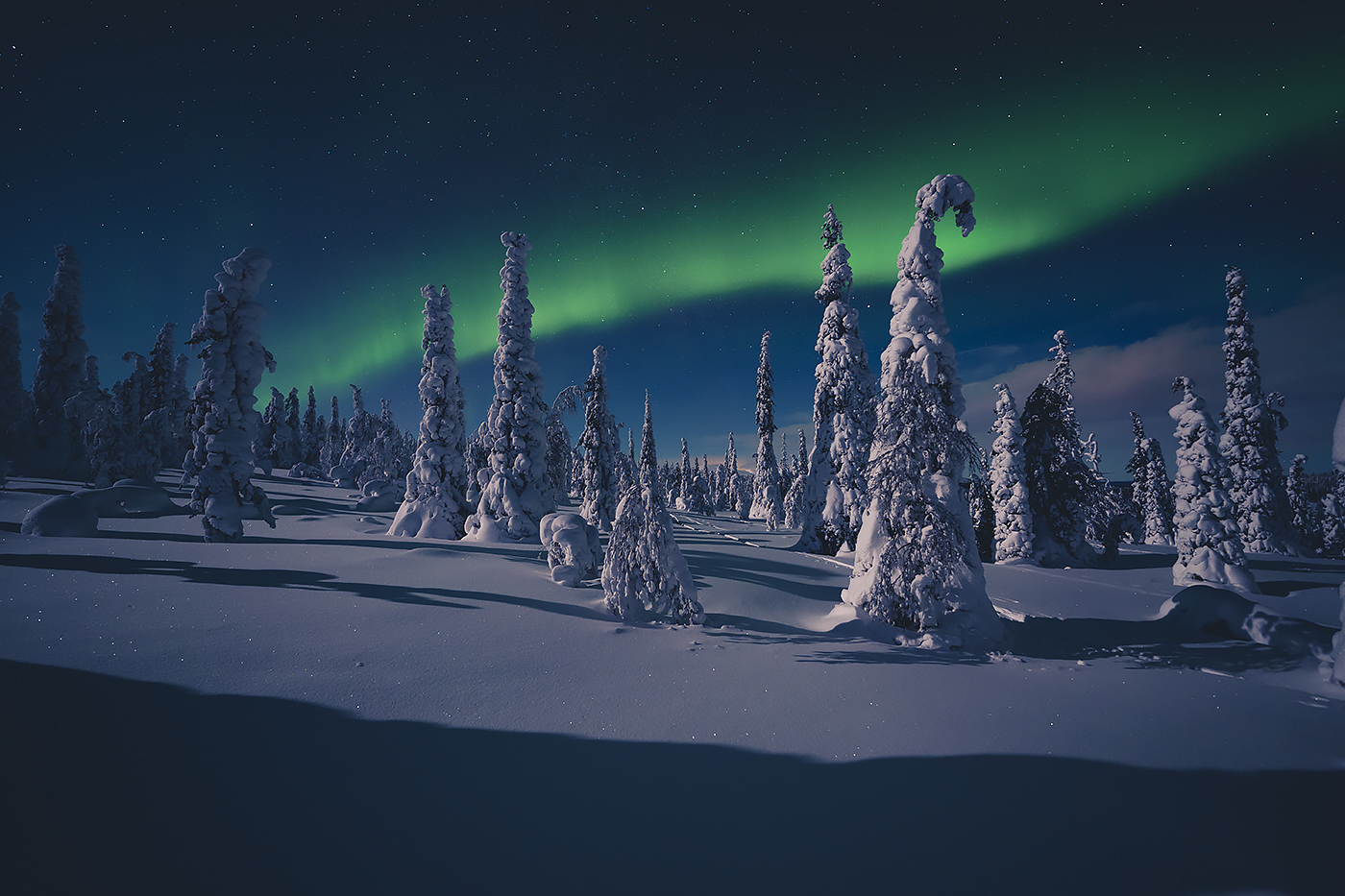 Northern Lights Taiga Oy