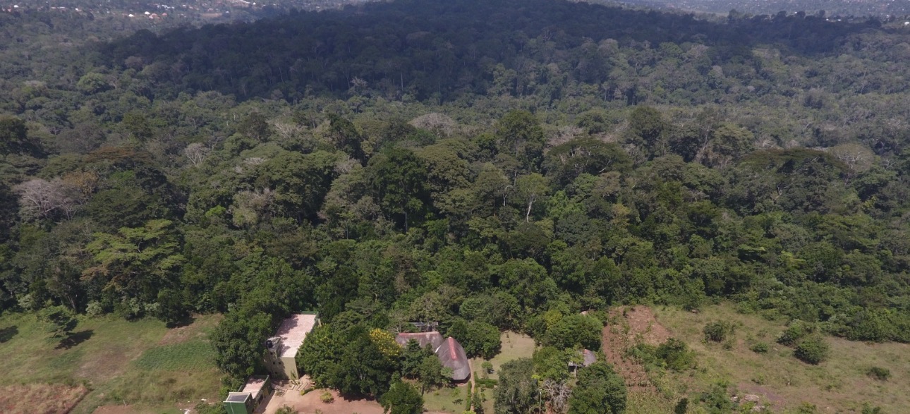 Mpanga Nature Center, Uganda.