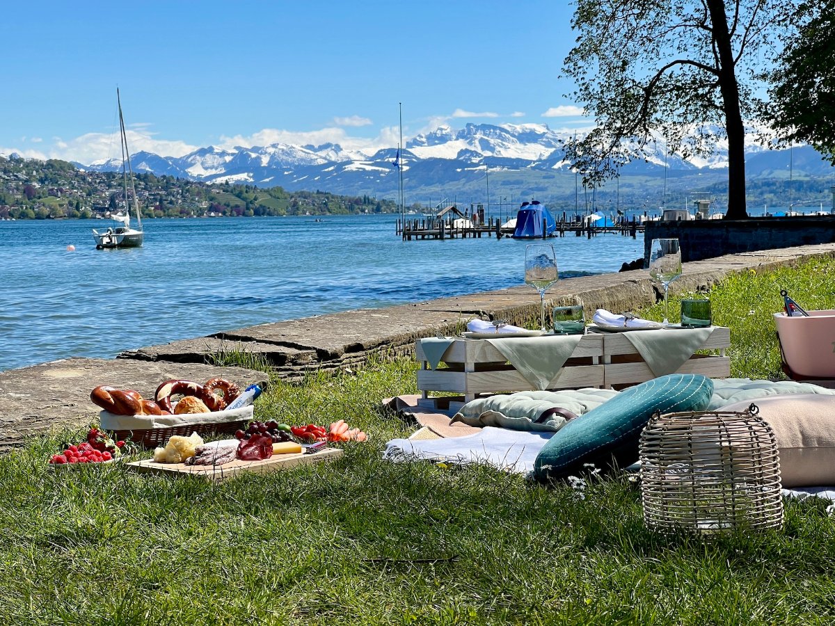 Zurich Picnic