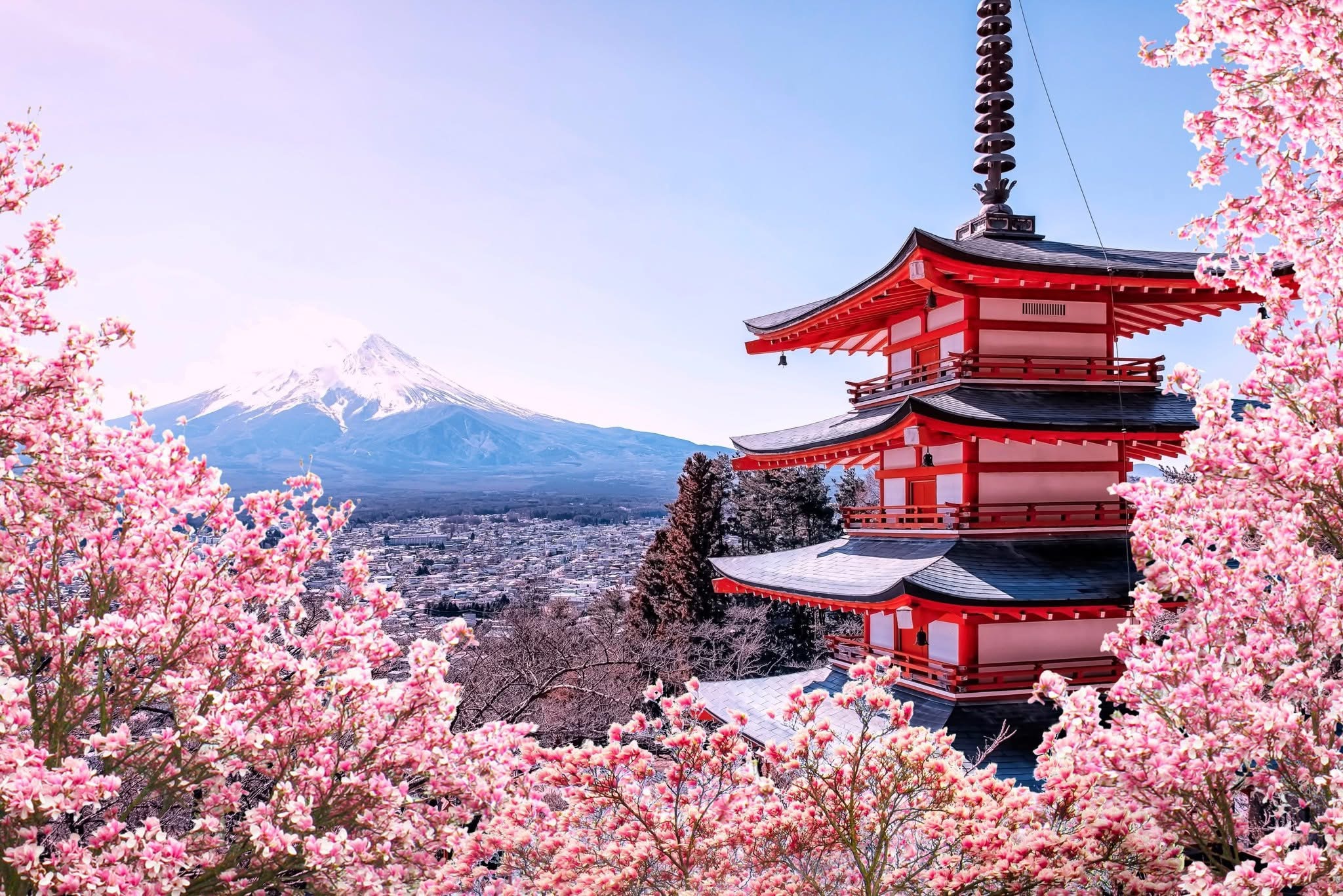 Wabisabi private tours Japan