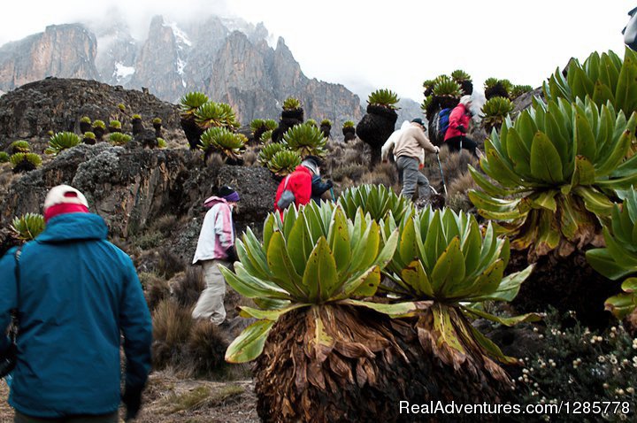 real outreach mission tours