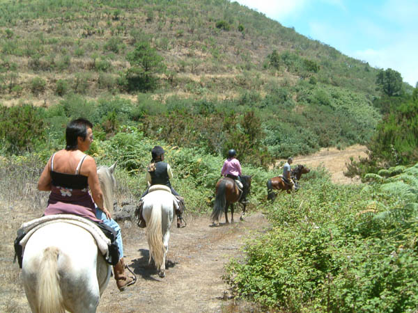 Finca Estrella