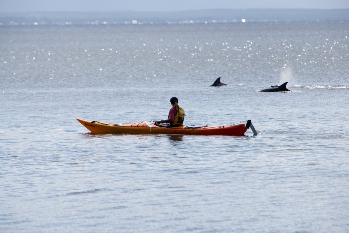 Sea Kayak Jervis Bay