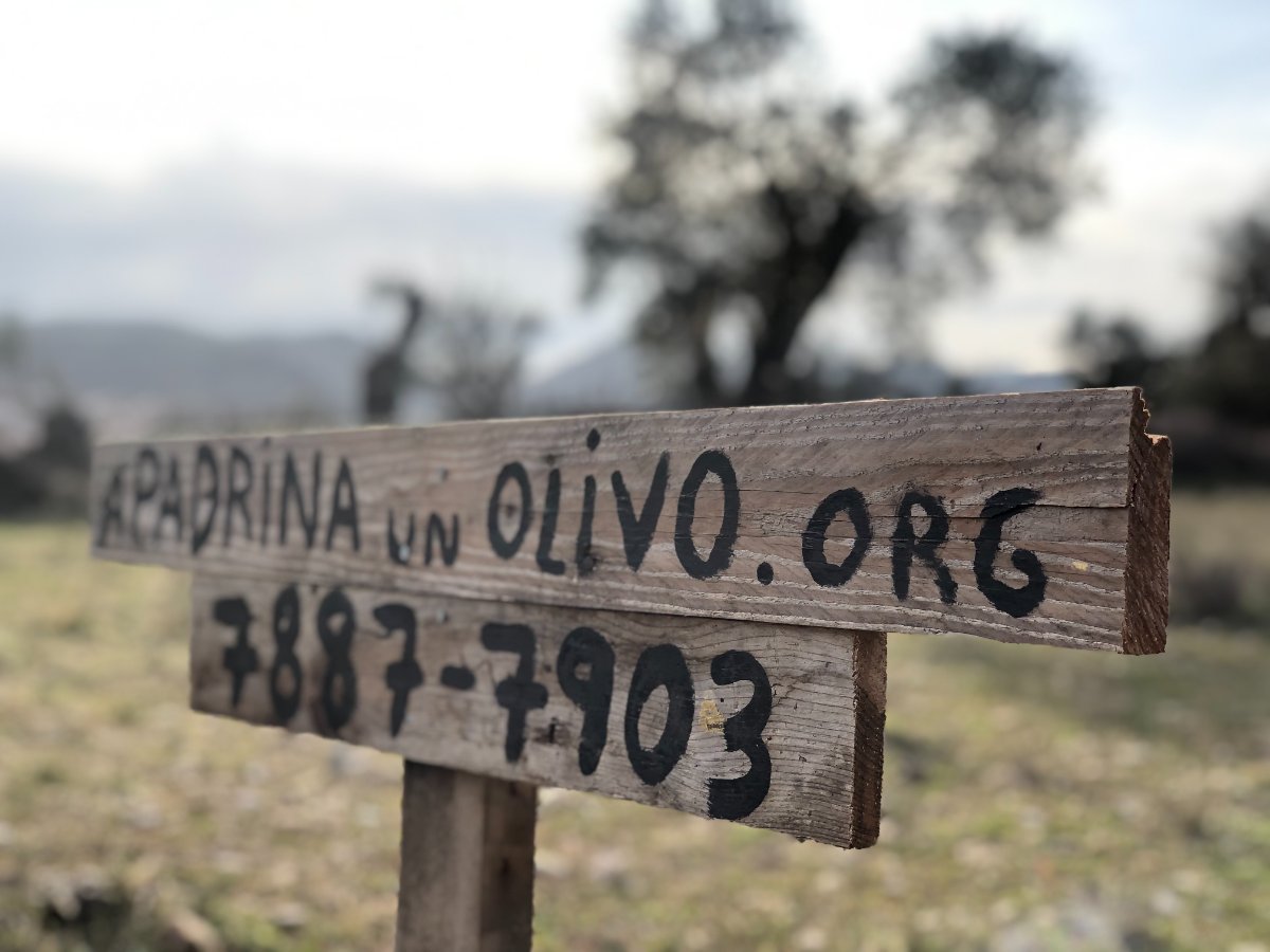 Apadrinaunolivo.org