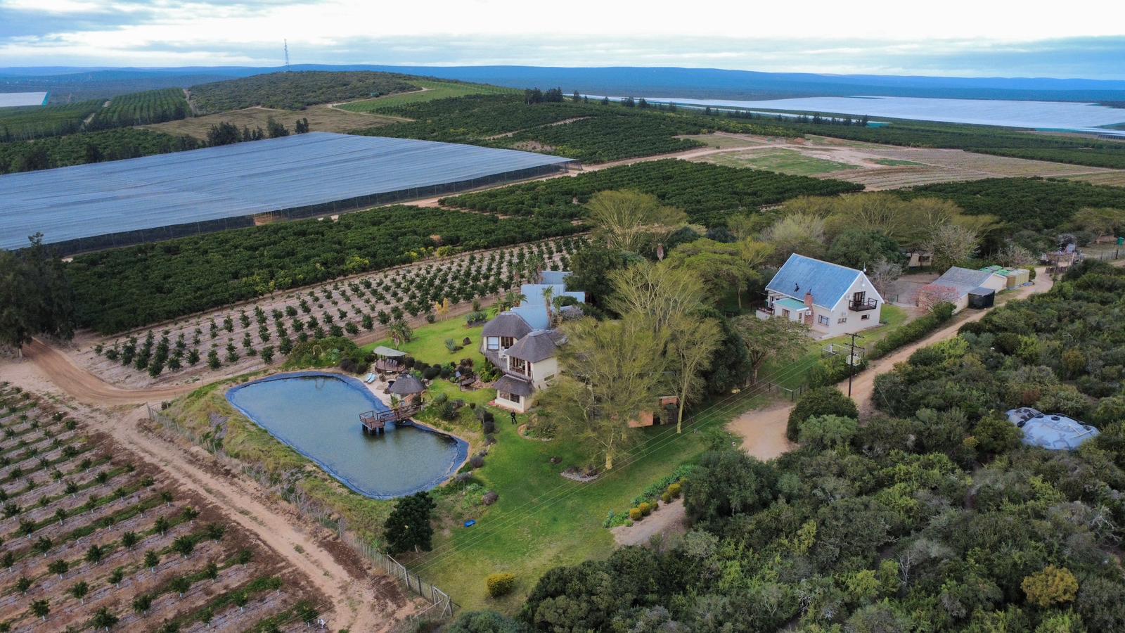Addo Dung Beetle Guest farm