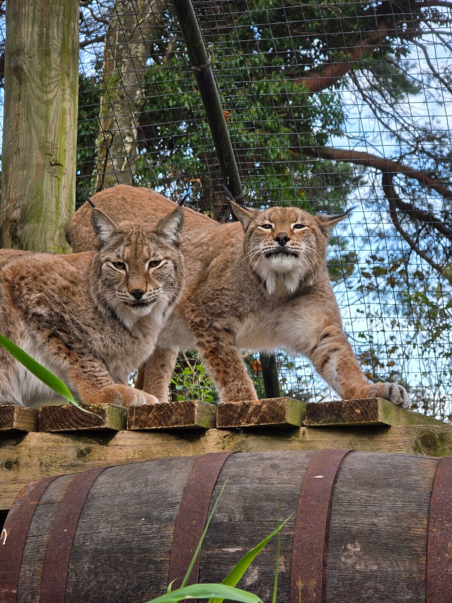 Lakeland Wildlife Oasis