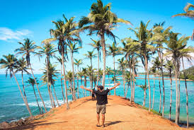 Ceylon Travel Dream