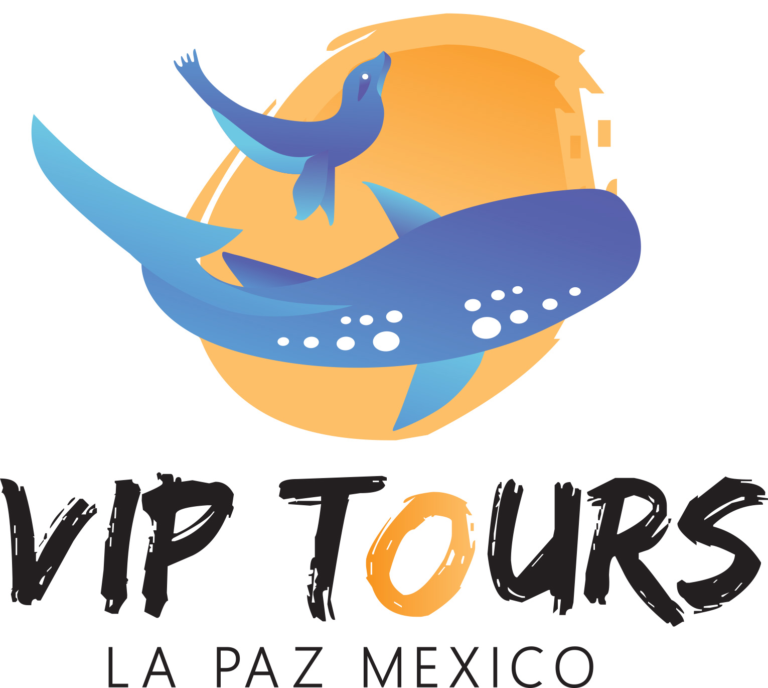 La Paz VIP tours