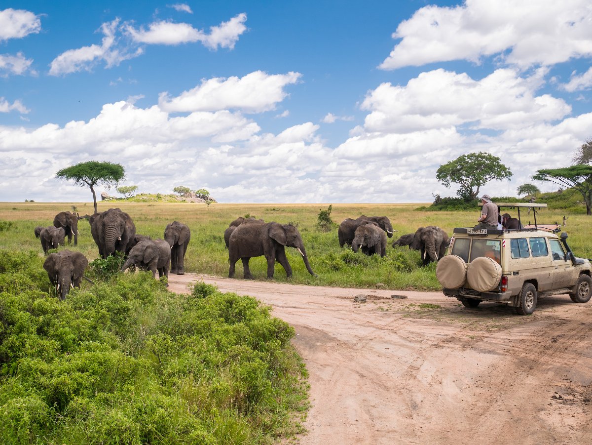 World Tours & Safaris Tanzania