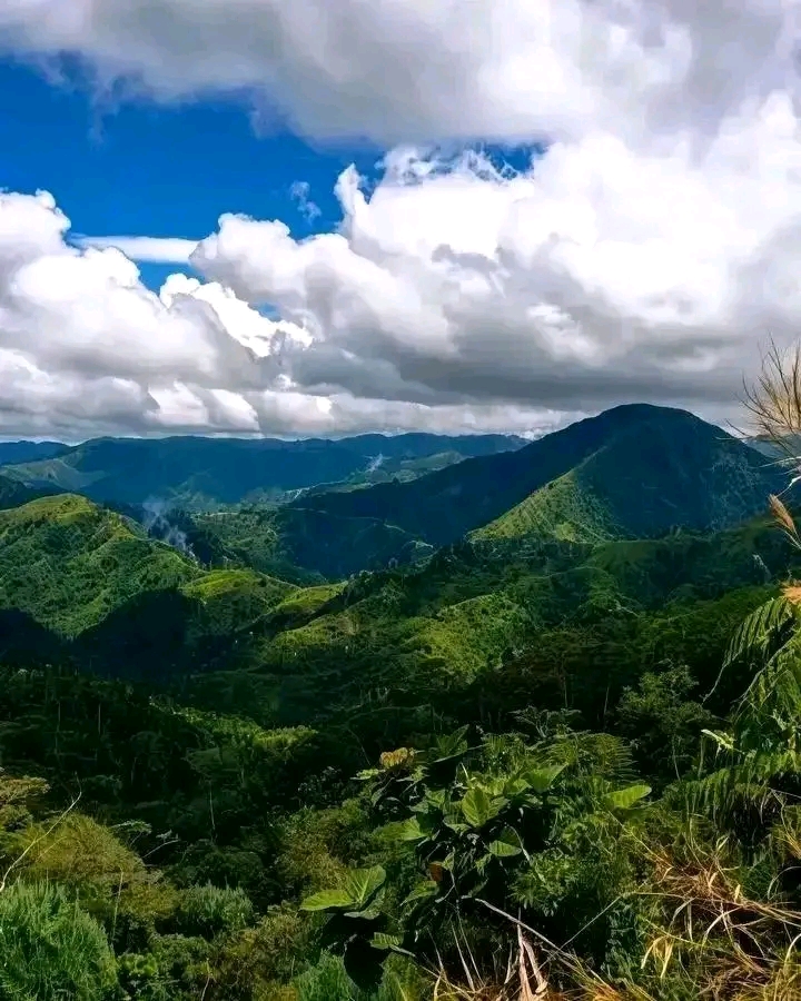 Kaviaini Neza Denge Tourism Se