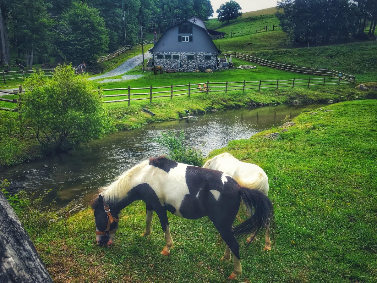 Mountain Magic Resort