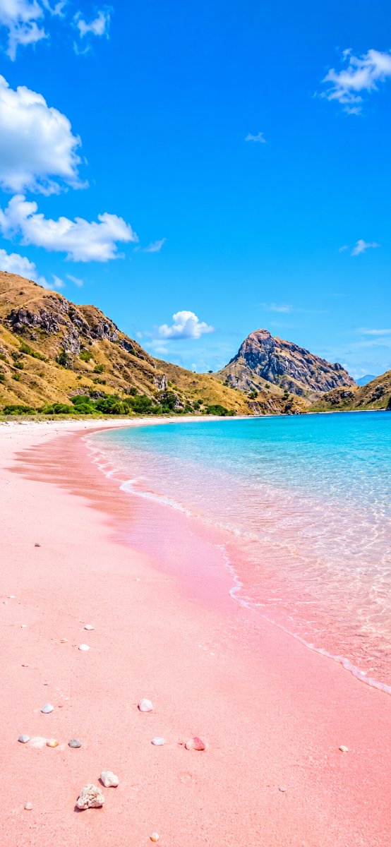 Bali Island dora